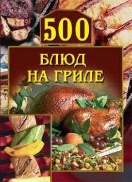 Анастасия Красичкова 500 блюд на гриле