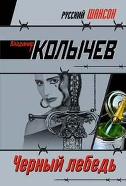 Владимир Колычев Черный лебедь обложка книги