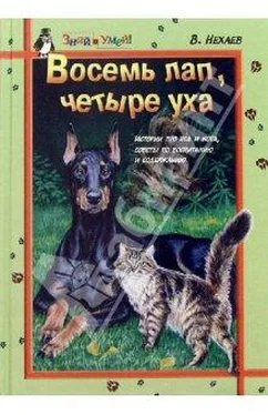 Виталий Нехаев Восемь лап, четыре уха: Истории про Пса и Кота, советы по их воспитанию и содержанию обложка книги