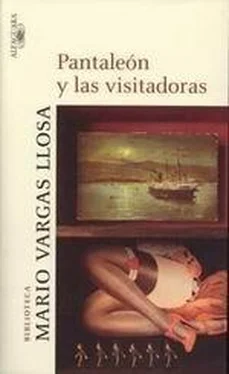 Mario Llosa Pantaleón Y Las Visitadoras обложка книги