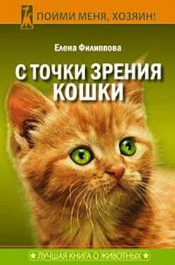 Елена Филиппова С точки зрения Кошки обложка книги
