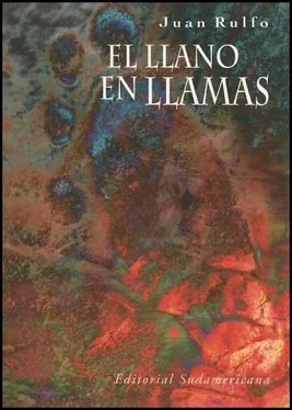 Juan Rulfo El Llano En Llamas обложка книги