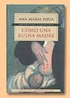 Ana Shua Como una buena madre обложка книги