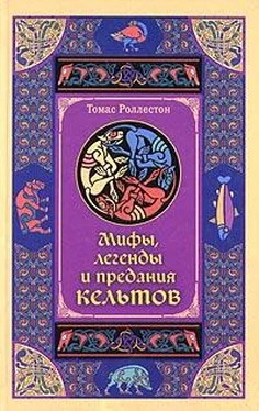 Томас Роллестон Мифы, легенды и предания кельтов обложка книги