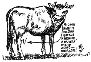 Охотно верю что через два с половиной часа из вымечка получатся отличные - фото 18