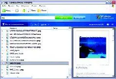 ОС Windows Адрес wwwmicrosoftcomwindowsdesktopsearch Версия 30 Размер 447 - фото 58