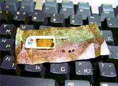 RFIDчипы американцам будут продавать сразу несколько компаний пока широко - фото 5