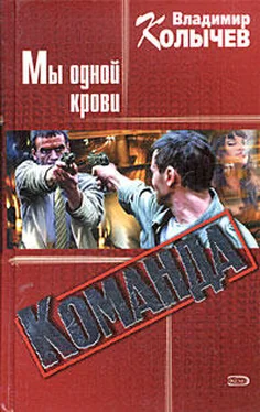 Владимир Колычев Команда: Мы одной крови обложка книги