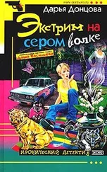 Дарья Донцова - Экстрим на сером волке