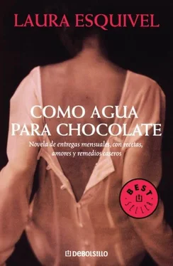 Laura Esquivel Como agua para chocolate обложка книги