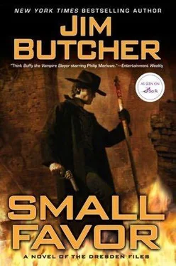 JIM BUTCHER SMALL FAVOR обложка книги