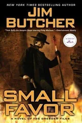 JIM BUTCHER - SMALL FAVOR