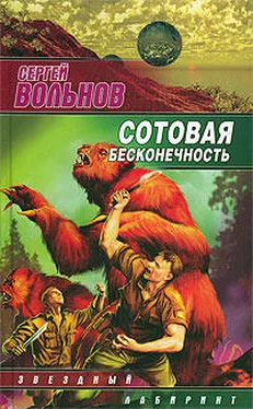 Сергей Вольнов Сотовая бесконечность обложка книги