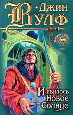 Джин Вулф И явилось новое солнце обложка книги