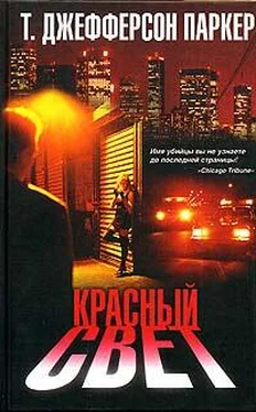 Т. Паркер Красный свет обложка книги