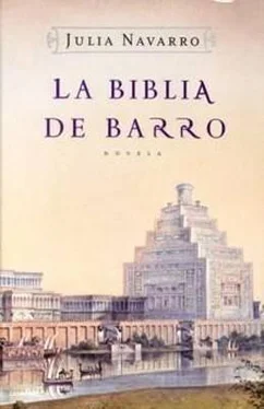 Julia Navarro La Biblia De Barro обложка книги