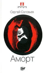 Сергей Соловьев - Аморт
