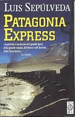 Luis Sepúlveda Patagonia Express обложка книги