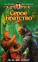 Виктор Баженов - Серое Братство