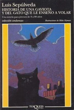 Luís Sepúlveda Historia De Una Gaviota Y El Gato Que La Enseñó A Volar обложка книги