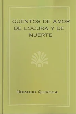 Horacio Quiroga Cuentos de Amor de Locura y de Muerte обложка книги