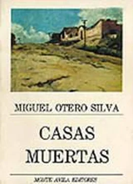 Miguel Silva Casas muertas обложка книги