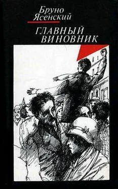 Бруно Ясенский Заговор равнодушных обложка книги