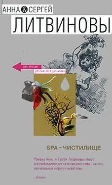 Анна и Сергей Литвиновы SPA-чистилище обложка книги