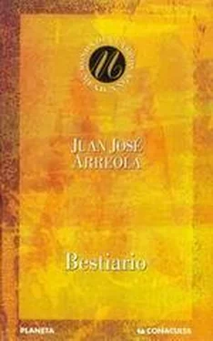 Juan Arreola Bestiario обложка книги