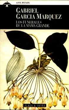 Gabriel Márquez Los Funerales De La Mamá Grande обложка книги