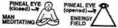 When the Pineal Eye opens after fear is conquered that is after your first - фото 5