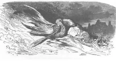La Lice et sa Compagne Une lice étant sur son terme Et ne sachant où mettre - фото 32