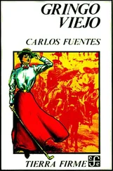 Carlos Fuentes - Gringo Viejo