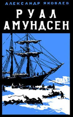 Александр Яковлев Руал Амундсен обложка книги