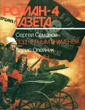 Сергей Семанов Под черным знаменем обложка книги