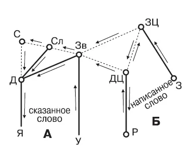Периферийные каналы изображены жирными линиями центральные каналы ассоциаций - фото 12