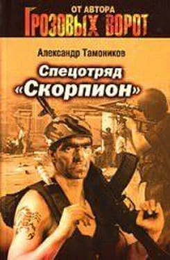 Александр Тамоников Спецотряд «Скорпион» обложка книги