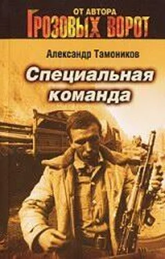 Александр Тамоников Специальная команда обложка книги