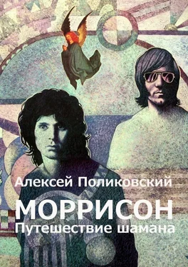 Алексей Поликовский Моррисон. Путешествие шамана обложка книги