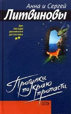 Анна Литвинова Прогулка по краю пропасти обложка книги