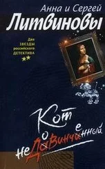 Анна Литвинова - Кот недовинченный