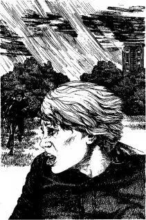 Наперерез вы недоумки заорал долговязый Мик Но остальные потеряли эти - фото 6