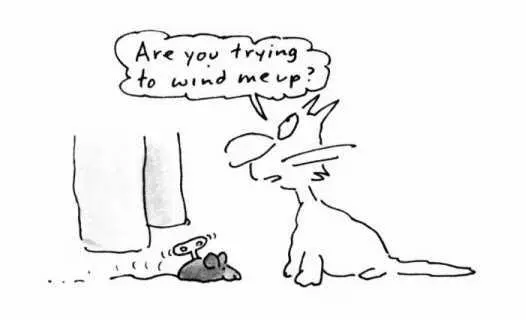 The thing to remember here is that cats only appear to be solitary animals - фото 5