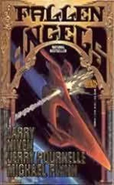 Larry Niven FALLEN ANGELS обложка книги