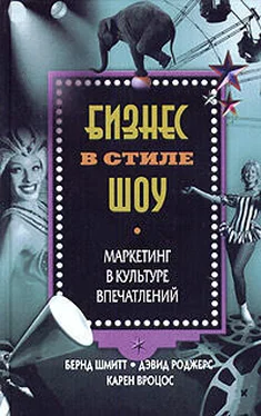 Бернд Шмитт Бизнес в стиле шоу. Маркетинг в культуре впечатлений обложка книги