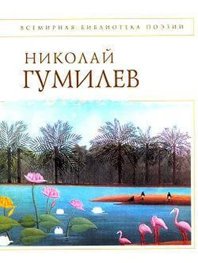 Николай Гумилев Стихотворения обложка книги