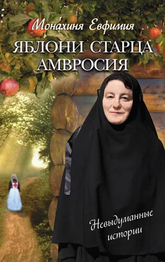 Евфимия Яблони старца Амвросия (сборник) обложка книги