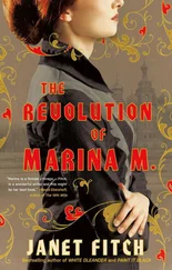 Джанет Фитч - The Revolution of Marina M.