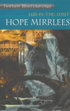 Hope Mirrlees Lud-In-The-Mist обложка книги