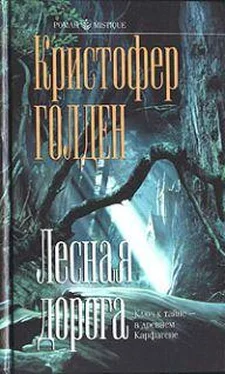 Кристофер Голден Лесная дорога обложка книги